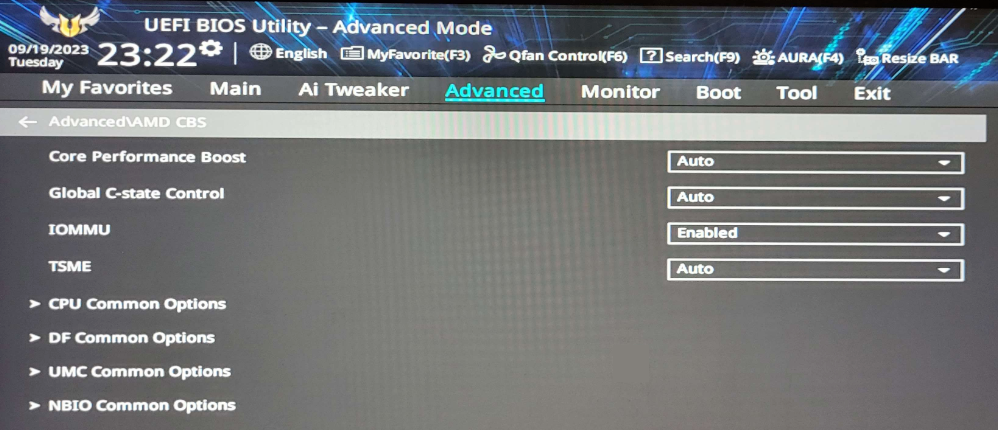 Lenovo ThinkPad Kernel DMA Protection